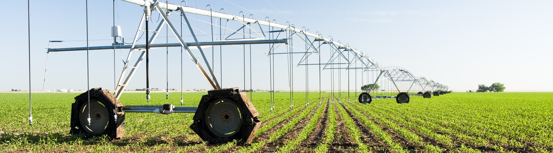 Crops at at farm for Farm & ranch insurance